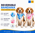 Pink & Blue Fluid Art Reversible Tie Knot Bandana