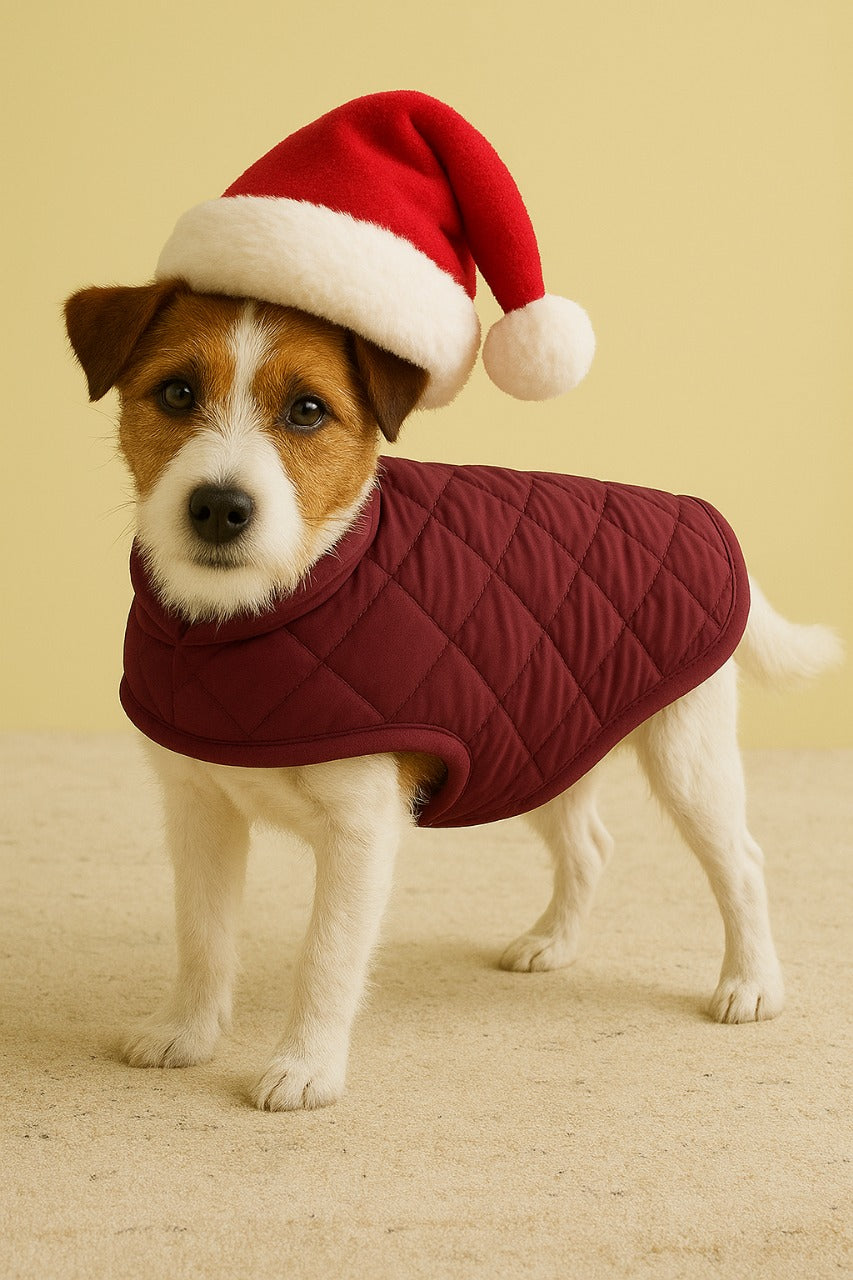 Wine Puffer Jacket