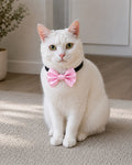 BABY PINK  Satin Bow for  Dogs and Cats