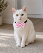BABY PINK  Satin Bow for  Dogs and Cats