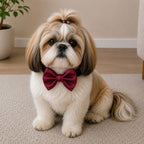 CHERRY RED  Satin Bow for  Dogs and Cats