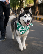 Limon & Rainforest Reversible Tie Knot Bandana
