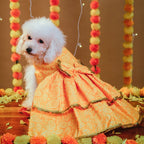 KESARIYA DOG LEHENGA
