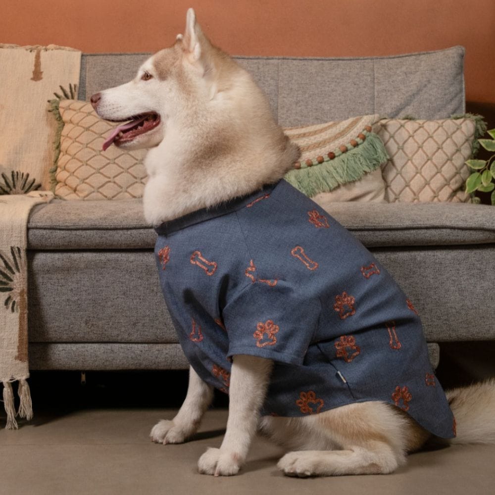 DESI DENIM DOG KURTA- INDIGO