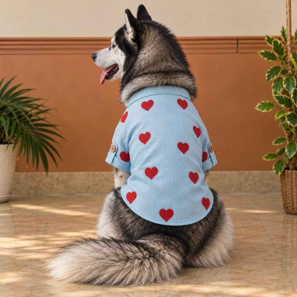 LINEN HEART EMBROIDERY DOG KURTA- BABY BLUE