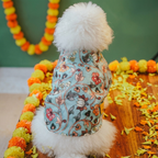 RANGREZ DOG KURTA