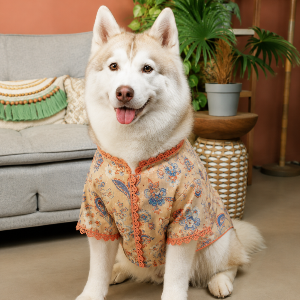 PAWTSAV DOG KURTA