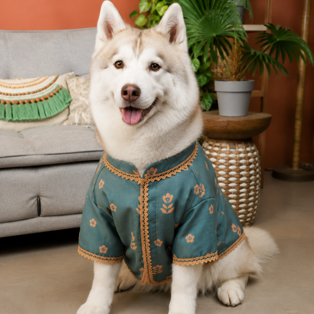 KHWAISH DOG KURTA