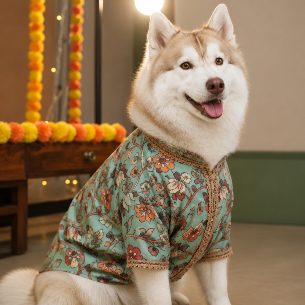 RANGREZ DOG KURTA
