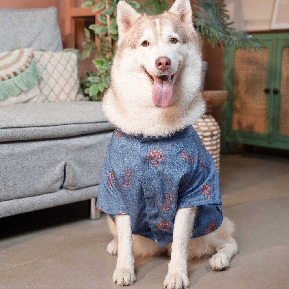 DESI DENIM DOG KURTA- INDIGO