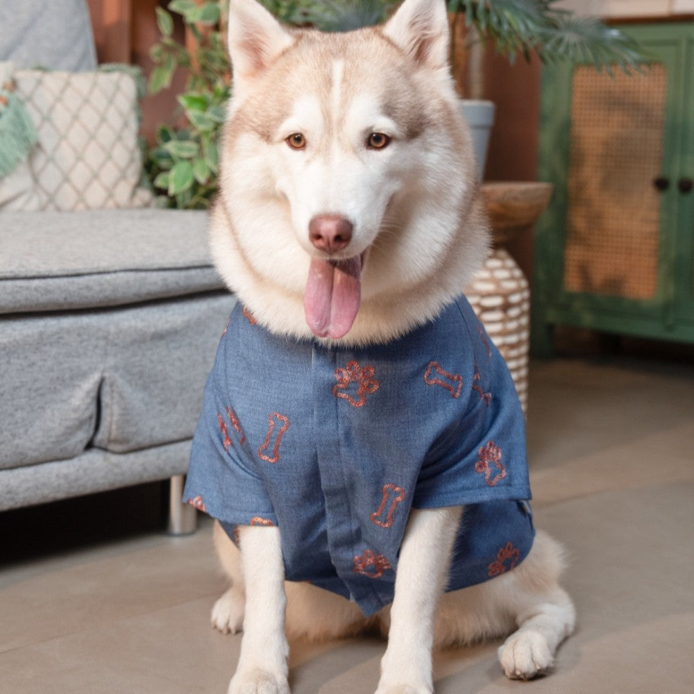 DESI DENIM DOG KURTA- INDIGO