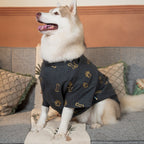 DESI DENIM DOG KURTA- GREY