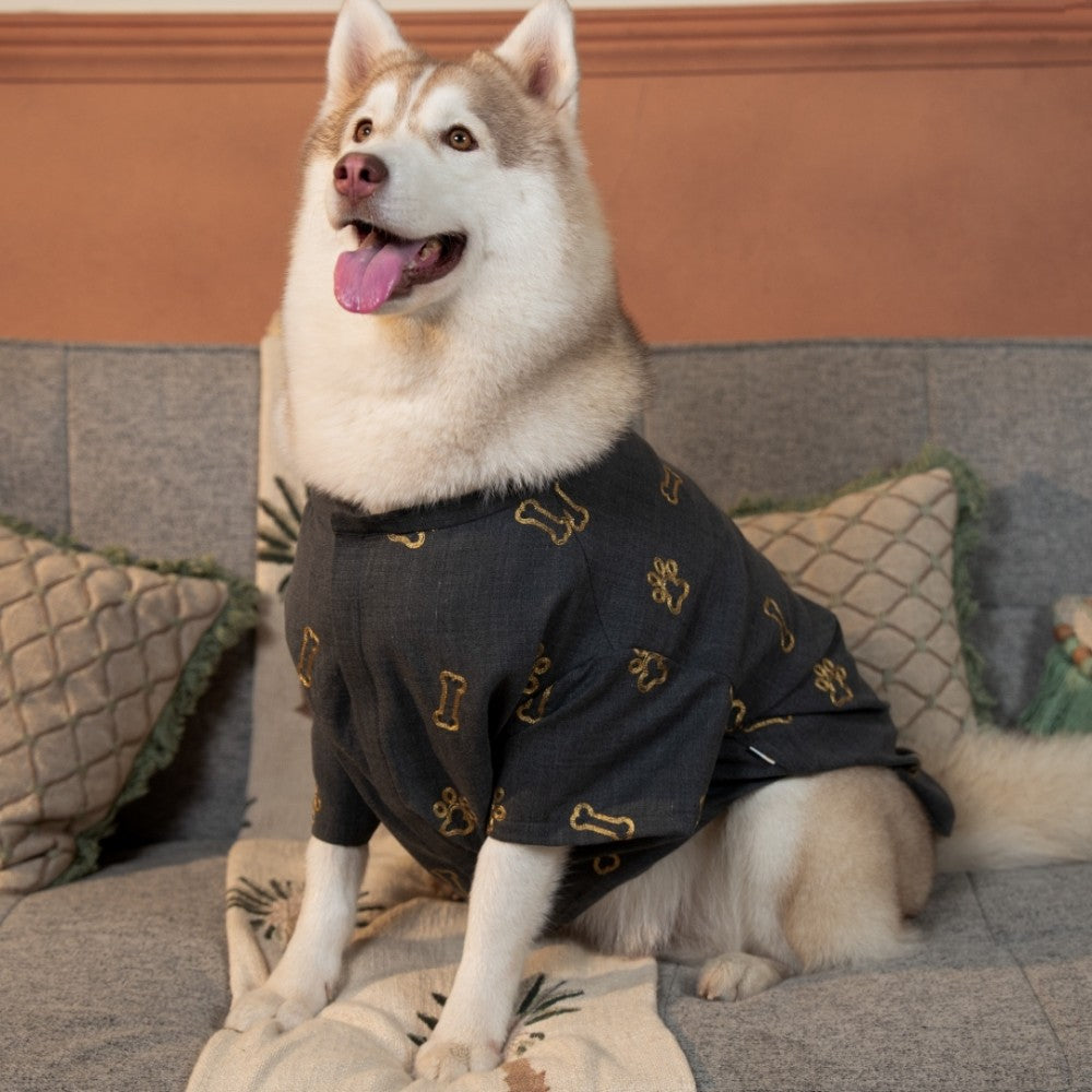 DESI DENIM DOG KURTA- GREY