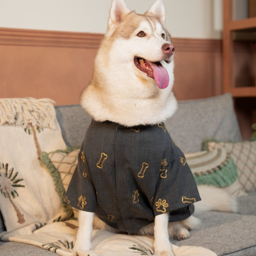 DESI DENIM DOG KURTA- GREY