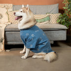 DESI DENIM DOG KURTA- BLUE