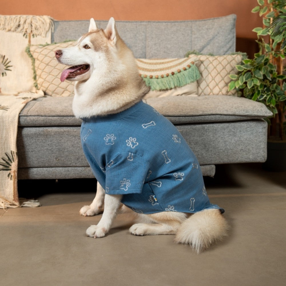 DESI DENIM DOG KURTA- BLUE