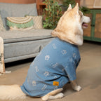 DESI DENIM DOG KURTA- BLUE