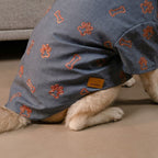 DESI DENIM DOG KURTA- INDIGO