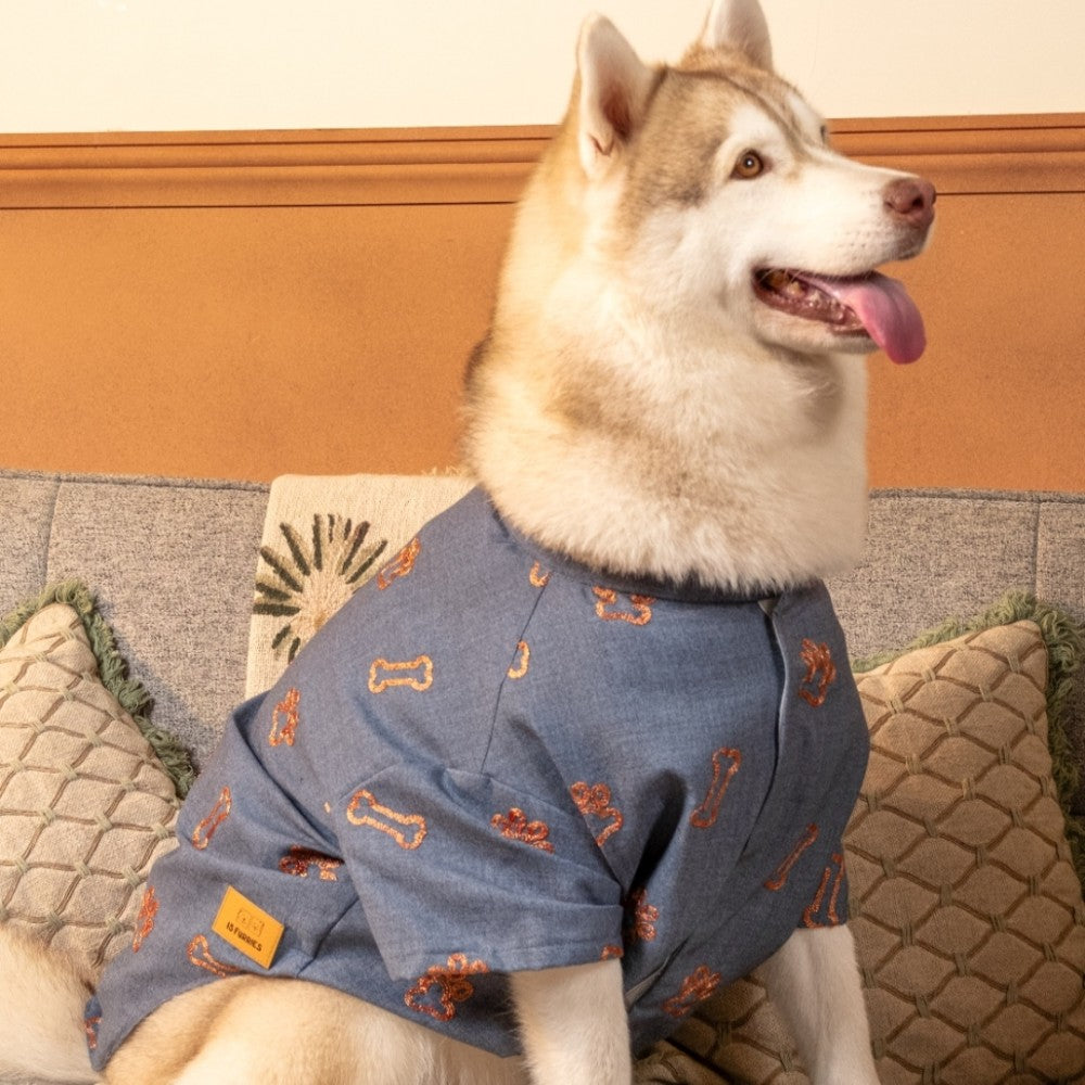 DESI DENIM DOG KURTA- INDIGO