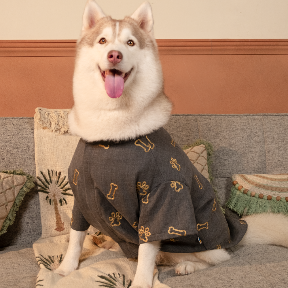 DESI DENIM DOG KURTA- GREY