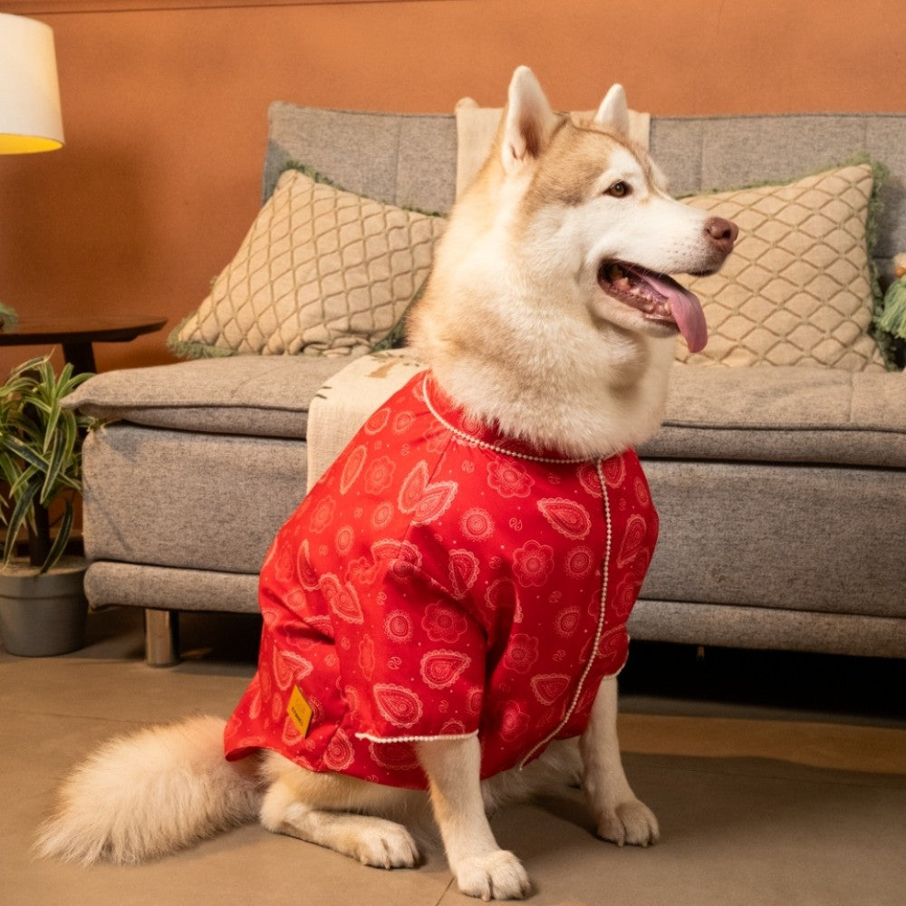 HEERA MOTI DOG KURTA