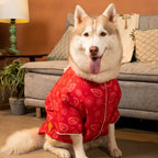 HEERA MOTI DOG KURTA