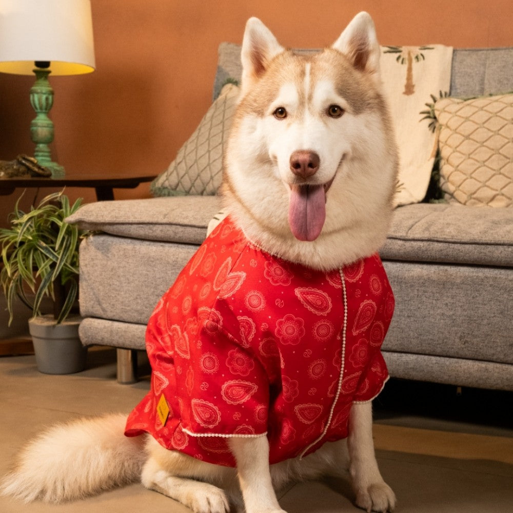 HEERA MOTI DOG KURTA