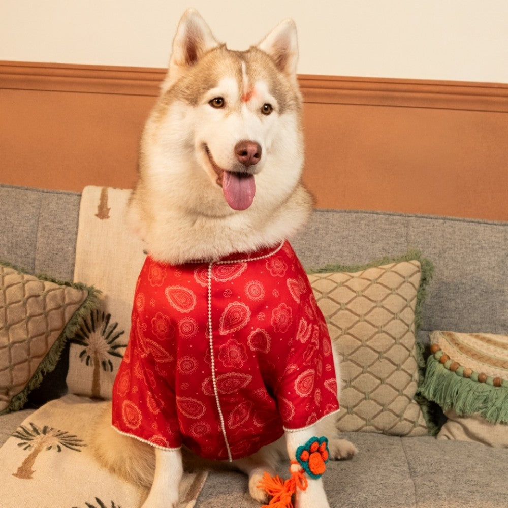 HEERA MOTI DOG KURTA