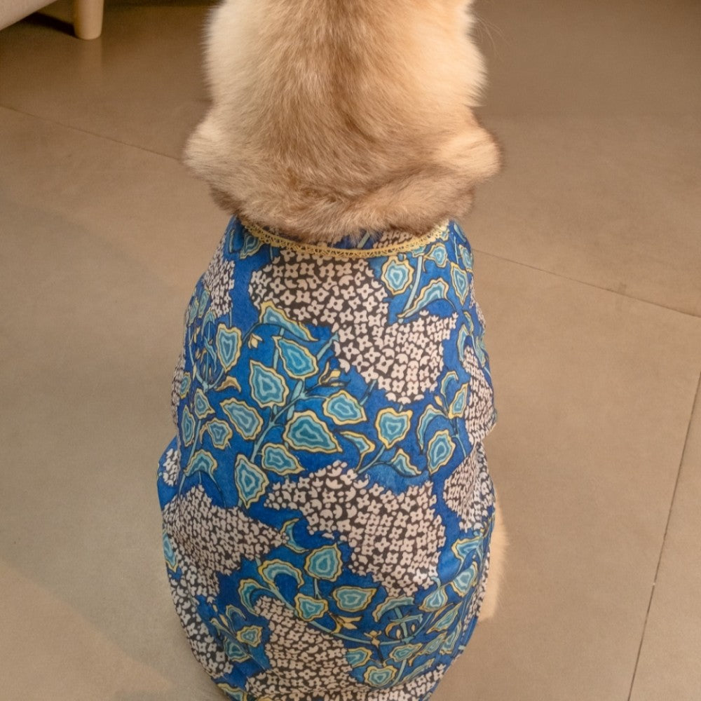 SHAAN DOG KURTA