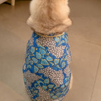 SHAAN DOG KURTA