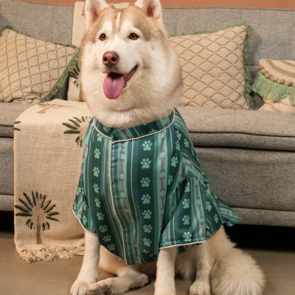 PAWRANG DOG KURTA
