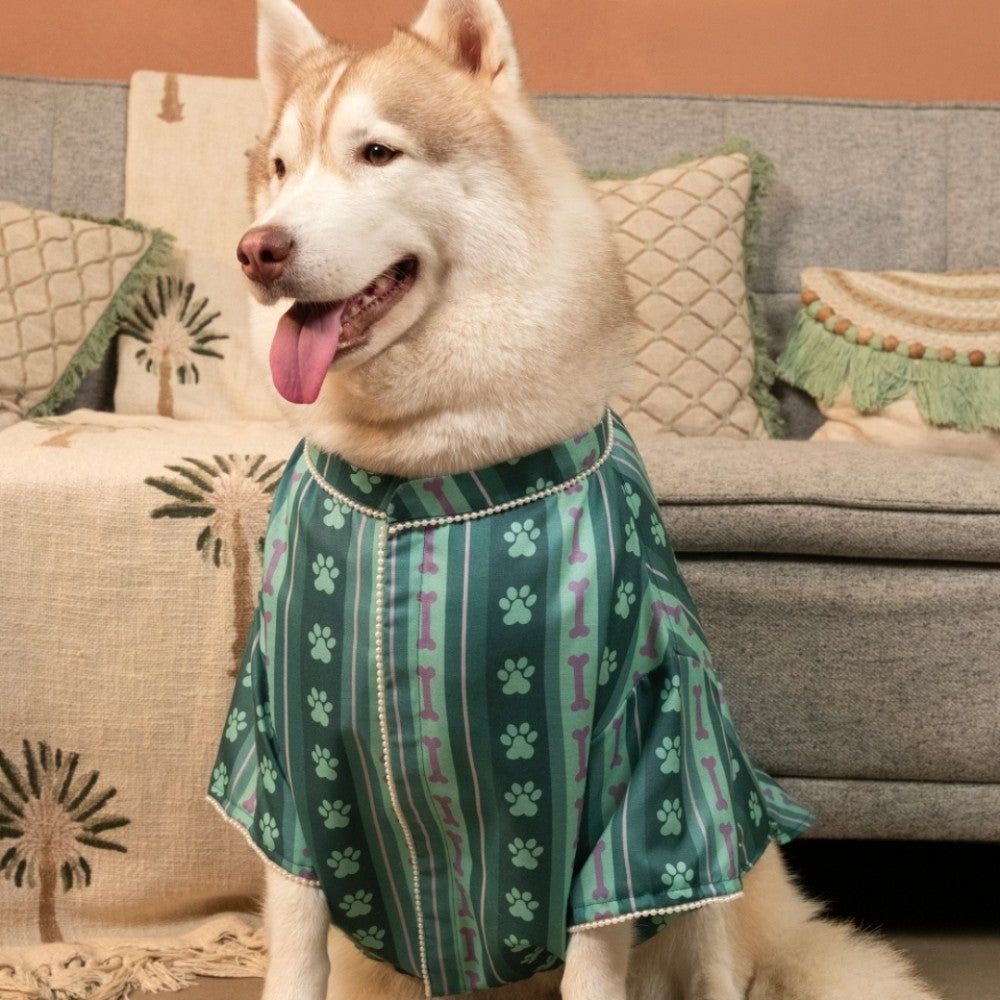 PAWRANG DOG KURTA