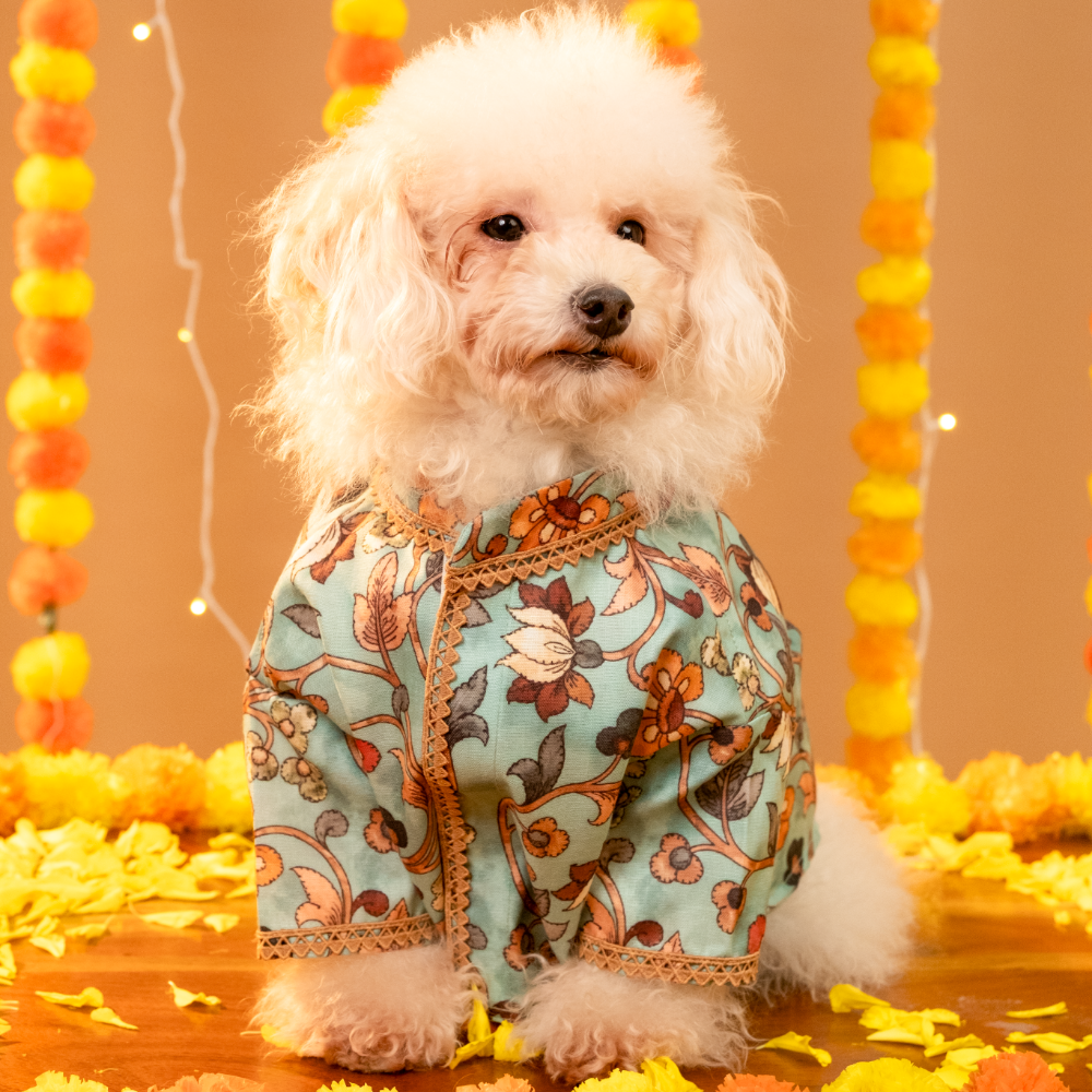 RANGREZ DOG KURTA