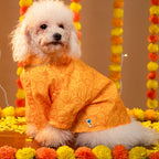 KESARIYA DOG KURTA