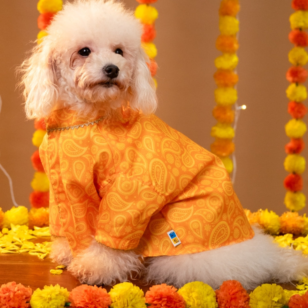 KESARIYA DOG KURTA