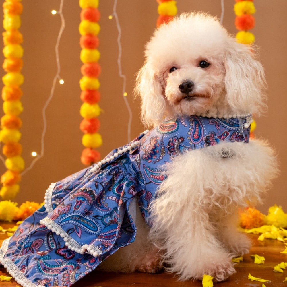 NOOR DOG LEHENGA