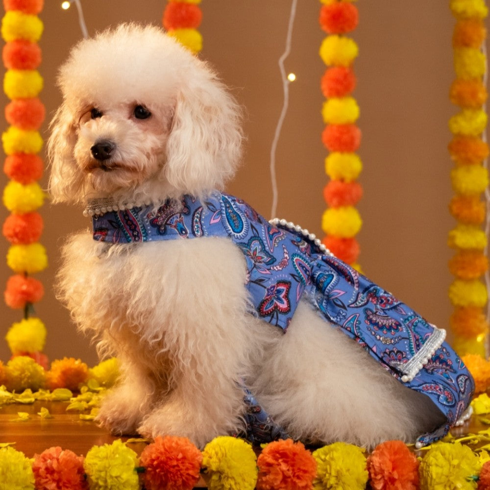 NOOR DOG LEHENGA