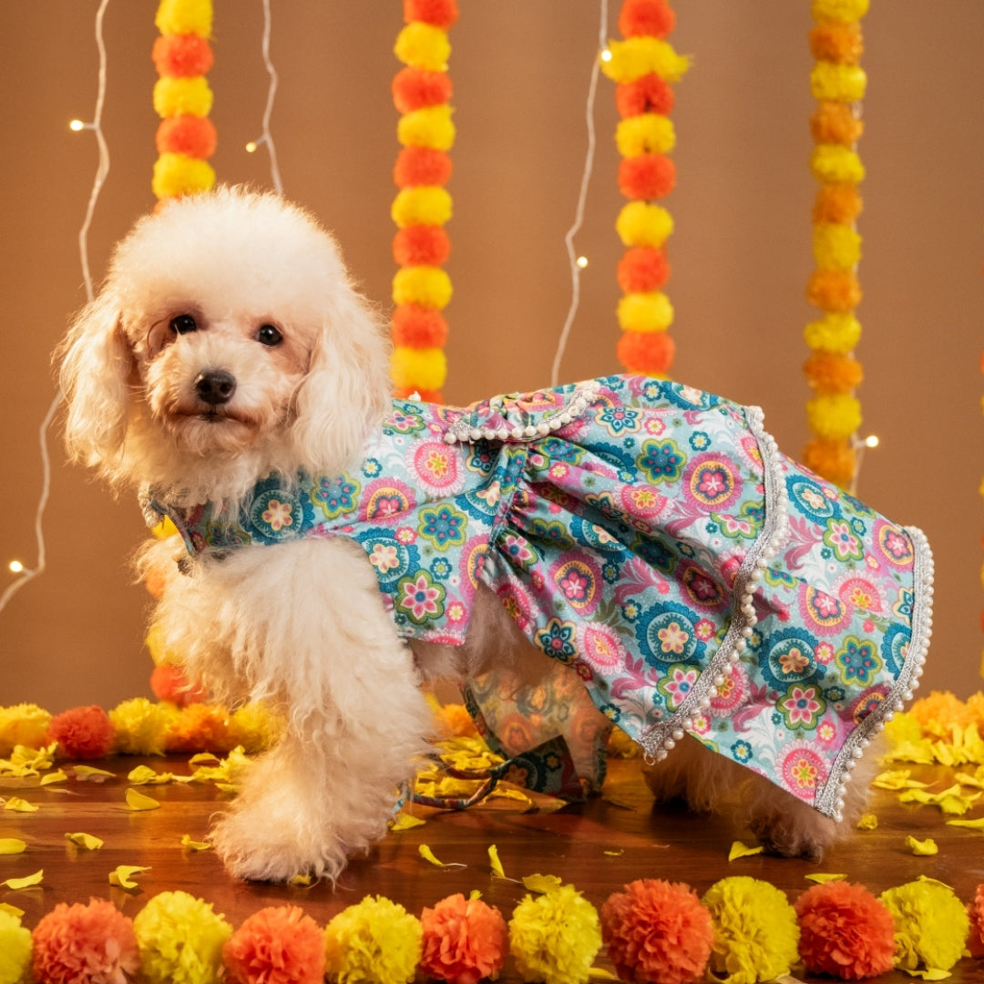 MUSKAAN DOG LEHENGA