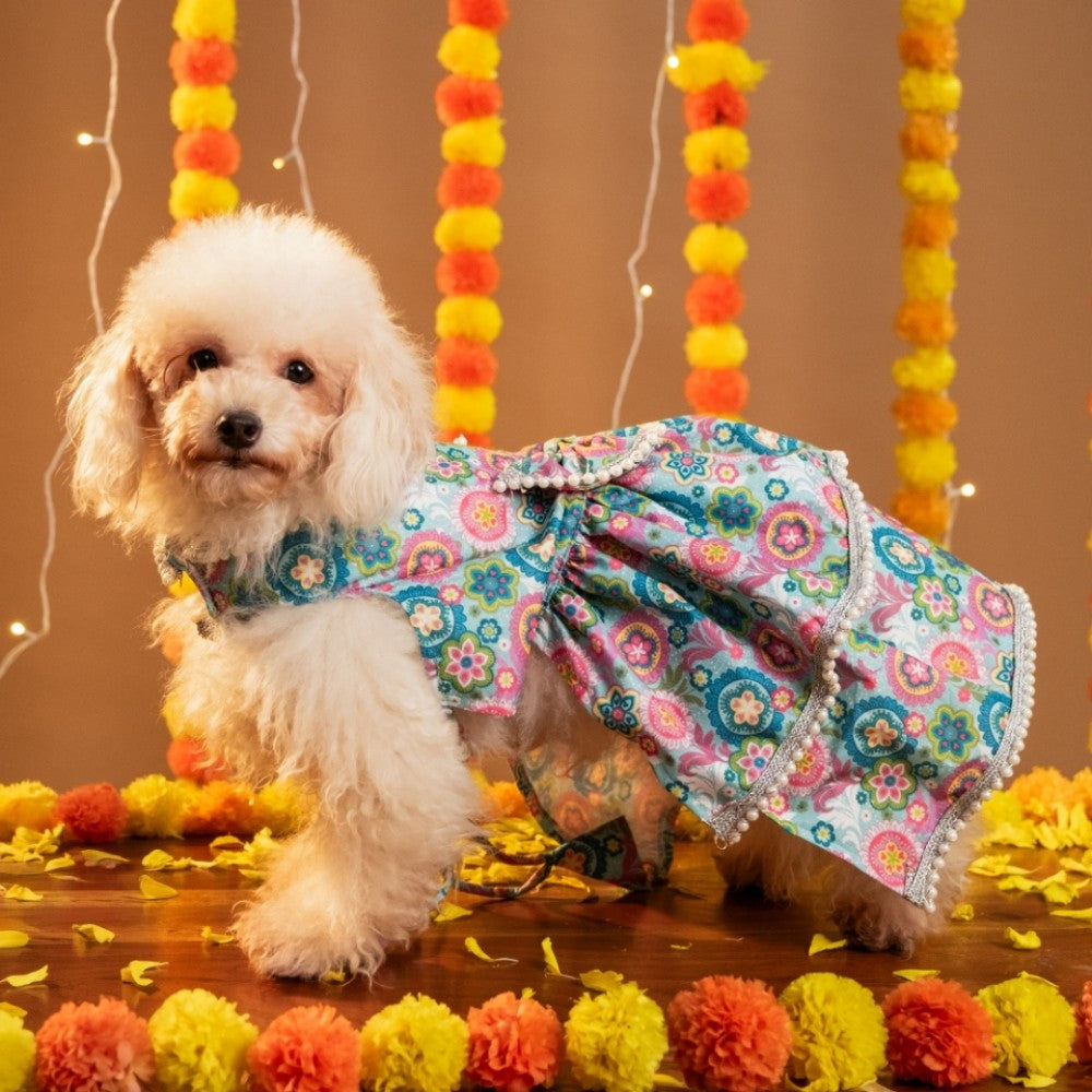 MUSKAAN DOG LEHENGA
