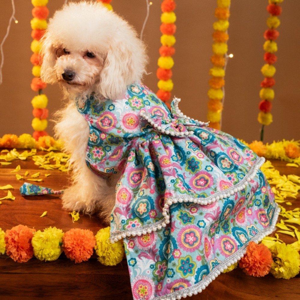 MUSKAAN DOG LEHENGA