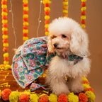 MUSKAAN DOG LEHENGA