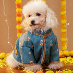 KHWAISH DOG KURTA