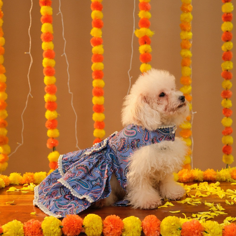 NOOR DOG LEHENGA