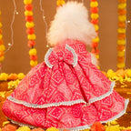 GULABO BANDHANI DOG LEHENGA