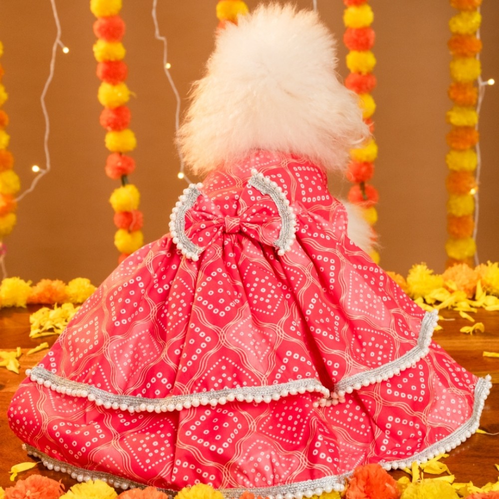 GULABO BANDHANI DOG LEHENGA