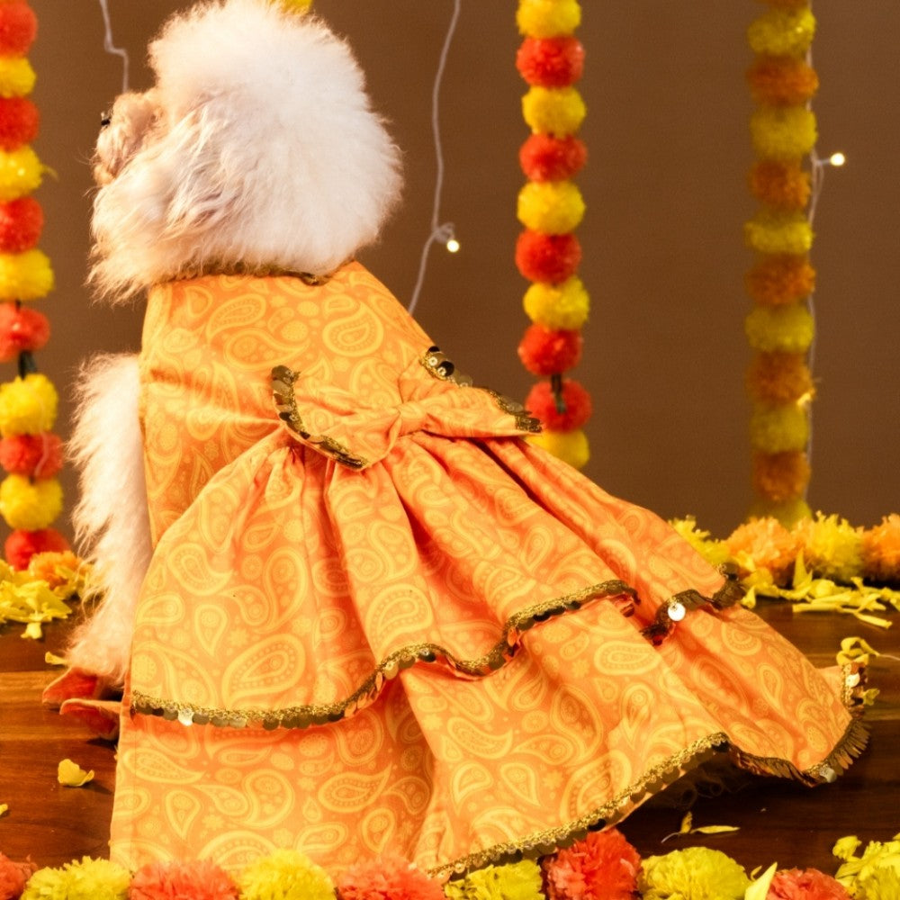 KESARIYA DOG LEHENGA