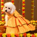 KESARIYA DOG LEHENGA