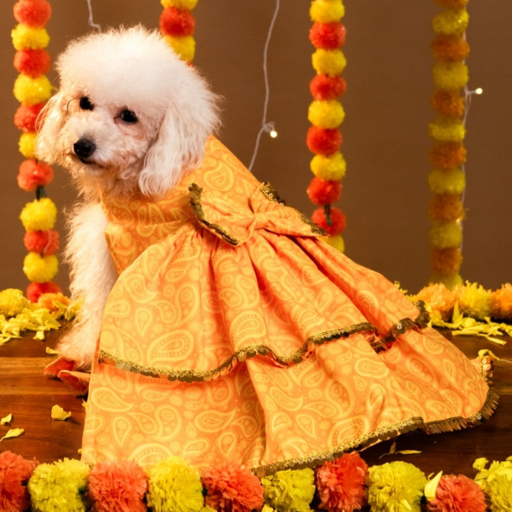 KESARIYA DOG LEHENGA