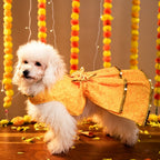 KESARIYA DOG LEHENGA