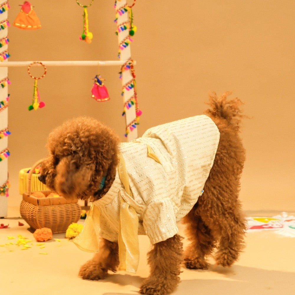FURWALI FESTIVE DOG KURTA WITH DUPATTA- IVORY WHITE